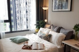 1 Bedroom Condo for rent in Life Ladprao, Chom Phon, Bangkok near BTS Ladphrao Intersection