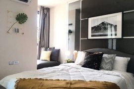 1 Bedroom Condo for Sale or Rent in Ideo Q Siam - Ratchathewi, Thanon Phaya Thai, Bangkok near BTS Ratchathewi