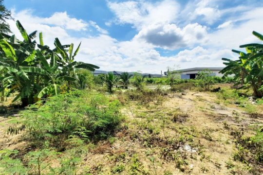 Land for Sale in Sam Phran, Nakhon Pathom  Dot Property