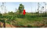 Land for sale in Huai Ton, Chaiyaphum