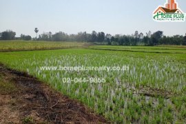 Land for sale in Tha Sak, Uttaradit