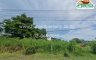 Land for sale in Laem Bua, Nakhon Pathom