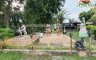 Land for sale in Don Chedi, Suphan Buri