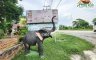 Land for sale in Don Chedi, Suphan Buri