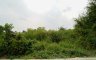 Land for sale in Bang Phai, Nonthaburi