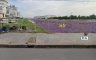 Land for sale in Sisa Chorakhe Yai, Samut Prakan