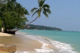 16 Bedroom Commercial for sale in Bo Phut, Surat Thani