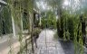 4 Bedroom House for Sale or Rent in Suan Luang, Bangkok