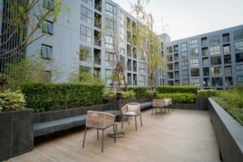 1 Bedroom Condo for sale in The Nest Sukhumvit 71, Phra Khanong Nuea, Bangkok near BTS Phra Khanong