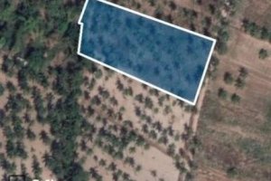 Land for sale in Pattaya, Chonburi