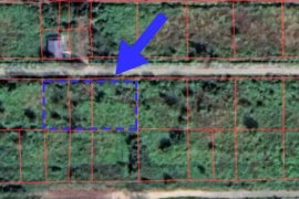 Land for sale in Sala Khru, Pathum Thani