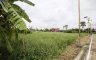 Land for sale in Racha Thewa, Samut Prakan