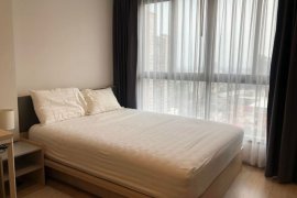 1 Bedroom Condo for rent in IDEO O2, Bang Na, Bangkok near BTS Bang Na