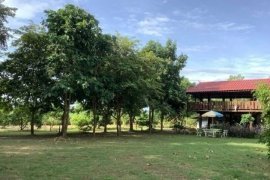 2 Bedroom Land for sale in Chae Chang, Chiang Mai