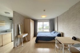 1 Bedroom Condo for Sale or Rent in Elio Del Ray, Bang Chak, Bangkok near BTS Punnawithi