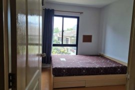 1 Bedroom Condo for rent in Bang Na, Bangkok