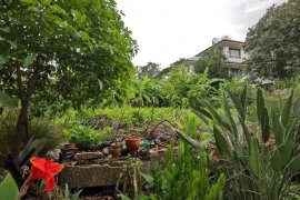 Land for rent in Wong Sawang, Bangkok