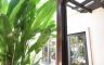 4 Bedroom House for sale in Nuan Chan, Bangkok