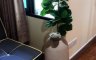 1 Bedroom Condo for Sale or Rent in Sathorn Gardens, Thung Maha Mek, Bangkok near MRT Silom
