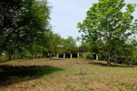 4 Bedroom Land for sale in Khilek, Chiang Mai