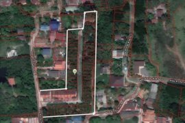 Land for sale in Champa, Phra Nakhon Si Ayutthaya