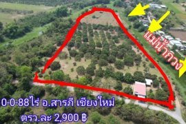 Land for sale in Umong, Lamphun