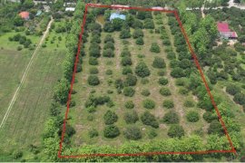 Land for sale in Pa Sang, Lamphun