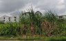 Land for sale in Prawet, Bangkok