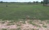 Land for sale in Nam Om, Roi Et