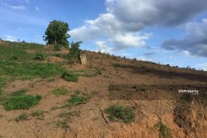Land for sale in Pai, Mae Hong Son