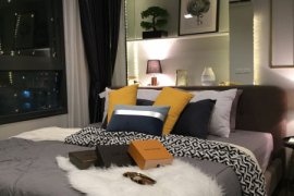 1 Bedroom Condo for Sale or Rent in Ideo Sukhumvit 93, Bang Chak, Bangkok near BTS Bang Chak