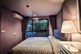 1 Bedroom Condo for rent in Ideo Sukhumvit 93, Bang Chak, Bangkok near BTS Bang Chak