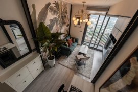 1 Bedroom Condo for rent in The Line sukhumvit 101, Bang Chak, Bangkok near BTS Punnawithi