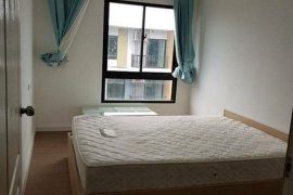 1 Bedroom Condo for rent in Bang Na, Bangkok