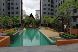 1 Bedroom Condo for Sale or Rent in Escent Ville Chiangmai, Fa Ham, Chiang Mai