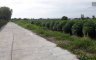 Land for sale in Chonburi