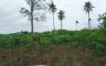 Land for sale in Chonburi