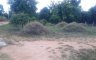 Land for sale in Bang Phra, Chonburi