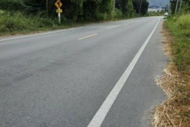 Land for sale in Nong Ri, Chonburi