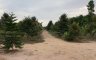 Land for sale in Nong Yai, Chonburi