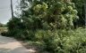 Land for sale in Ko Chan, Chonburi
