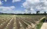 Land for sale in Bang Phra, Chonburi