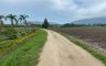 Land for sale in Bang Phra, Chonburi