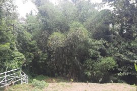 Land for sale in Singapadu, Bali