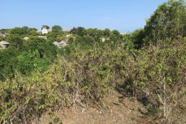 Land for sale in Ungasan, Bali