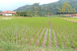 Land for sale in Soreang, West Java