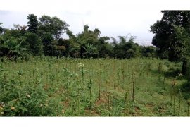 Land for sale in Cilengkrang, West Java