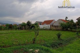 Land for sale in Talun, West Java