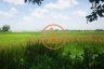 ขายที่ดิน ใน Kandal, Kampot