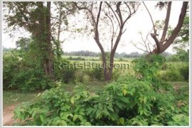 Land for sale in Xaythany, Vientiane